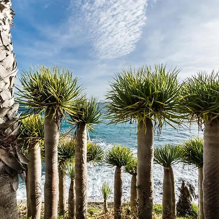 Tropical Pensión 4*