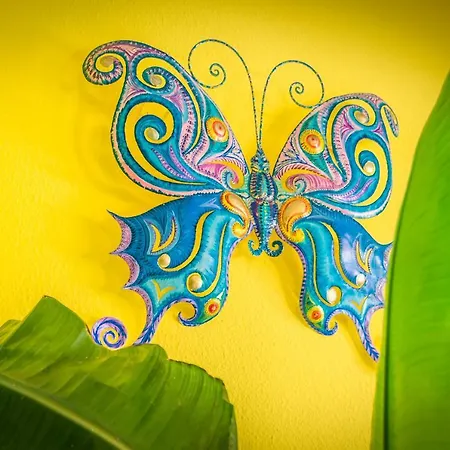 Gasthuis Tropical 2*