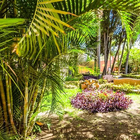 Tropical Pensión 2*