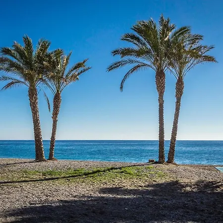 Tropical 4*