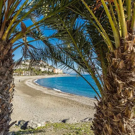 בית הארחה Tropical 4*