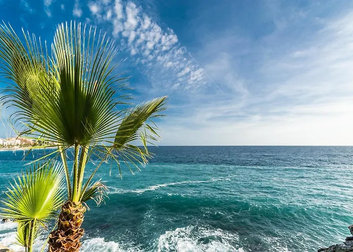 Tropical 4*