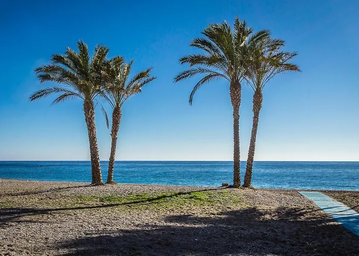 Tropical 4*