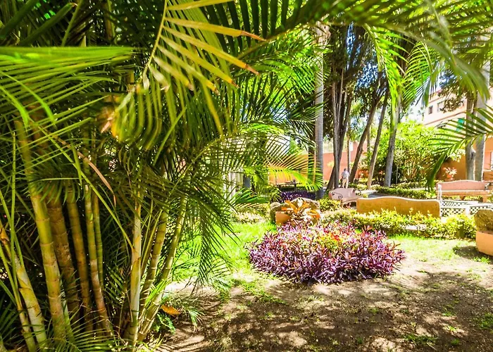 Tropical Casa de hóspedes 4*