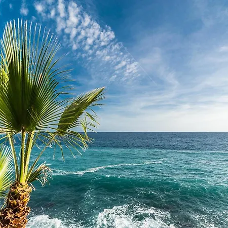 Tropical 4*