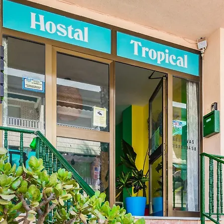 Tropical 4*